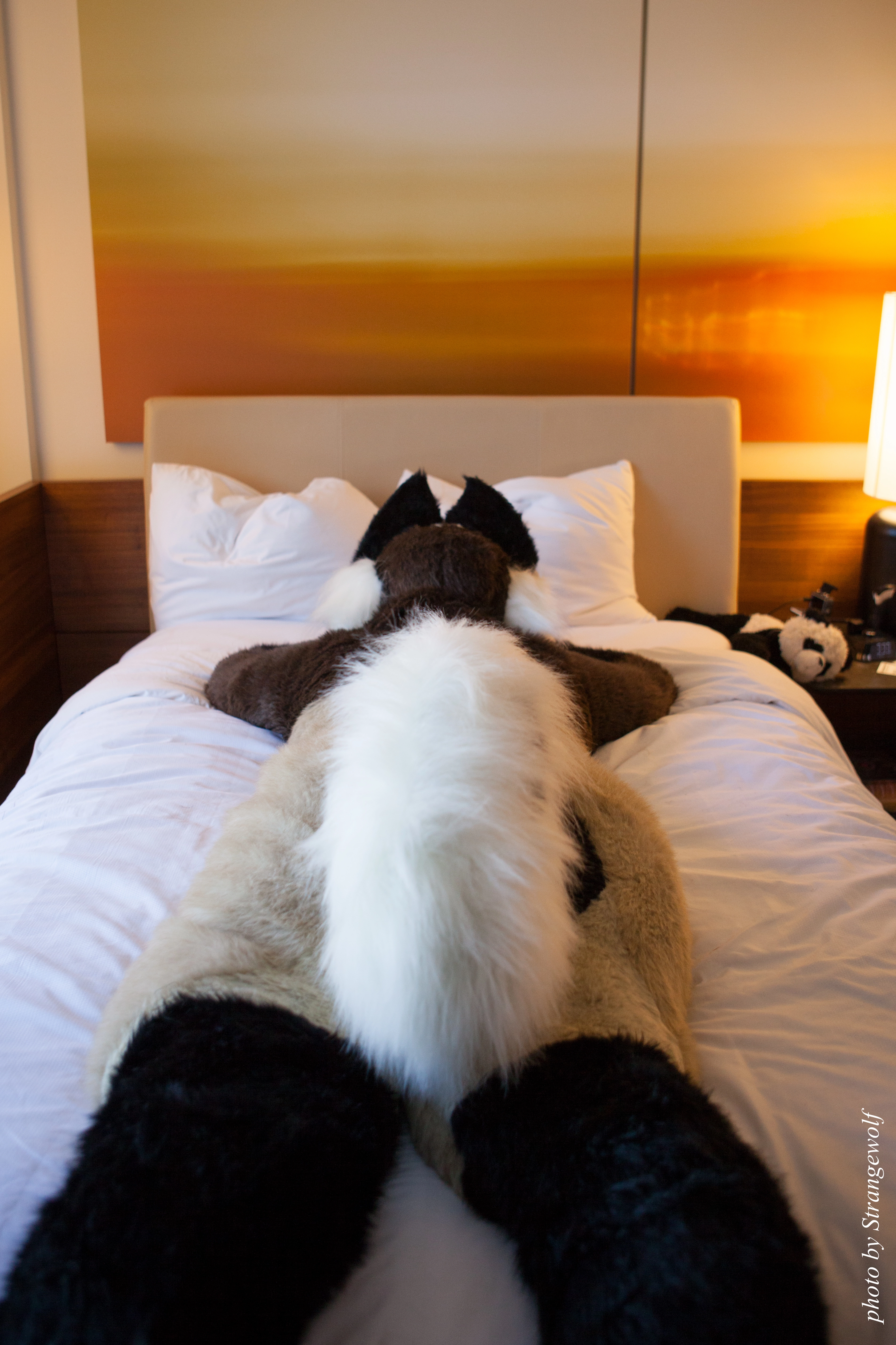 full image IMG_6112-lr.jpg