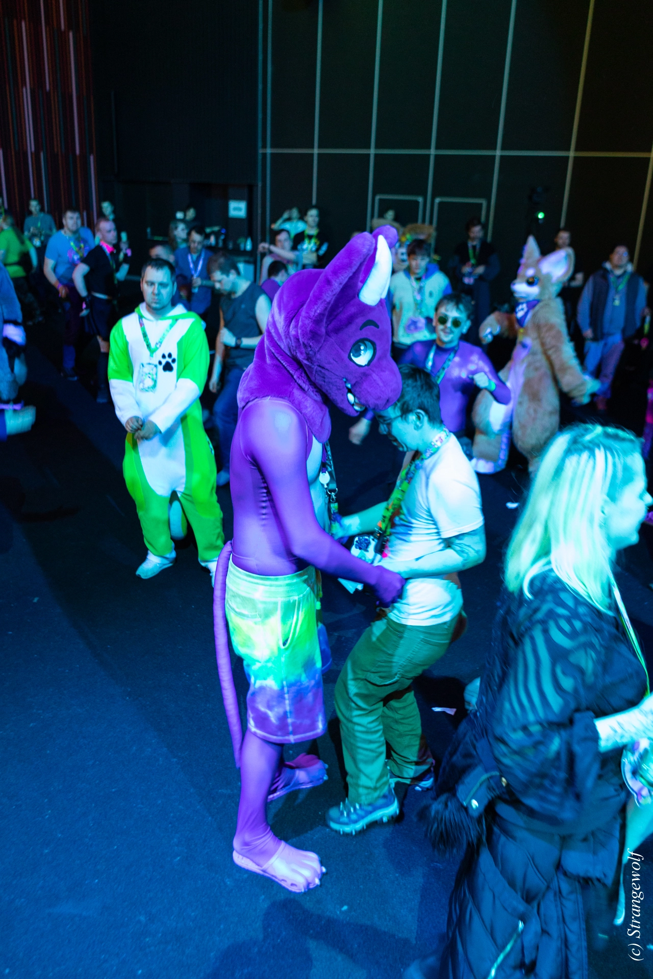 full image 1R3A9691-lr19t.jpg