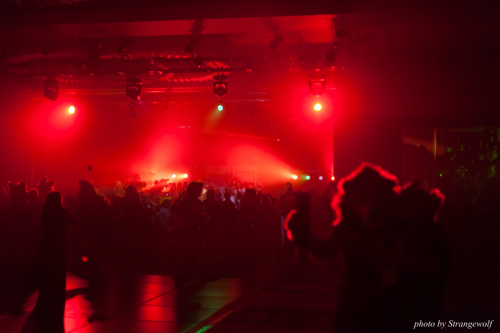 full image IMG_5974-lr16t.jpg