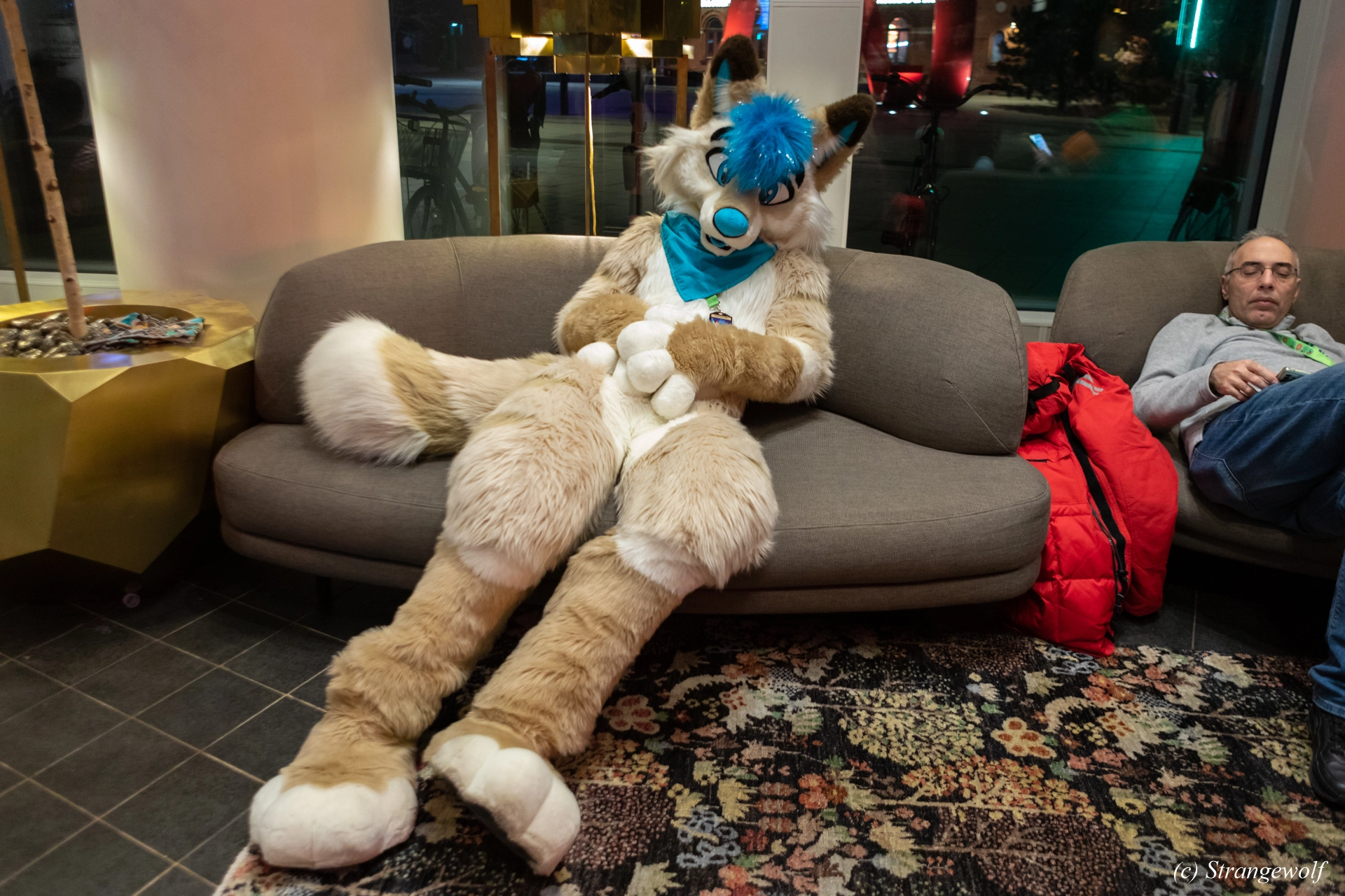 full image 1R3A0102-lr19t.jpg