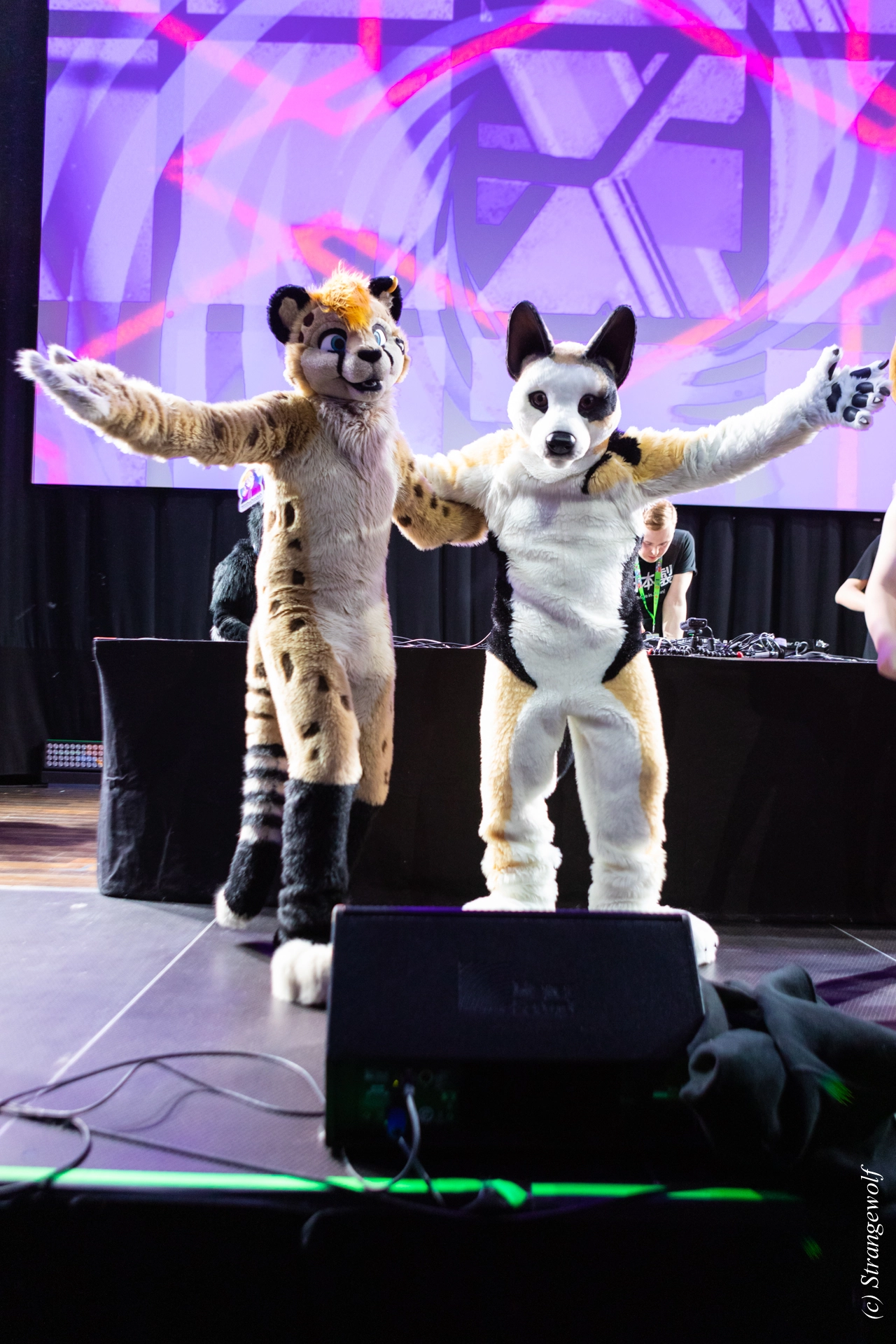 full image 1R3A9787-lr19t.jpg