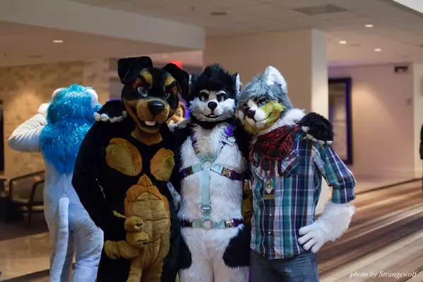 IMG_3144-lr16t.jpg of FWA/FWA2017/