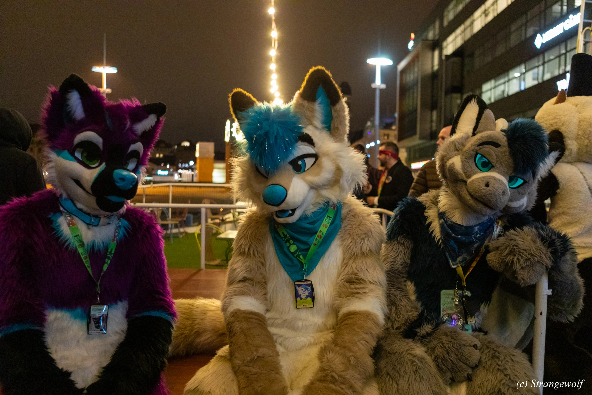 full image 1R3A9189-lr19t.jpg