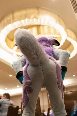 IMG_2166-lr19t.jpg of FWA/FWA2019/