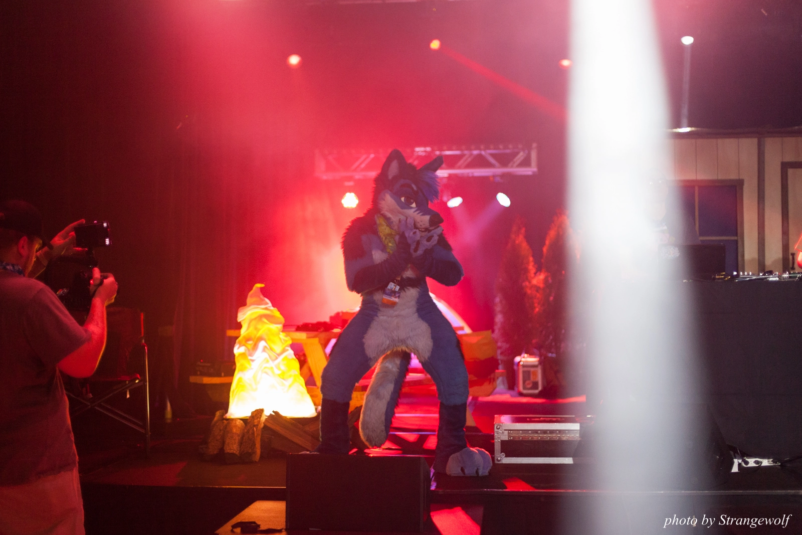 full image IMG_5863-lr16t.jpg