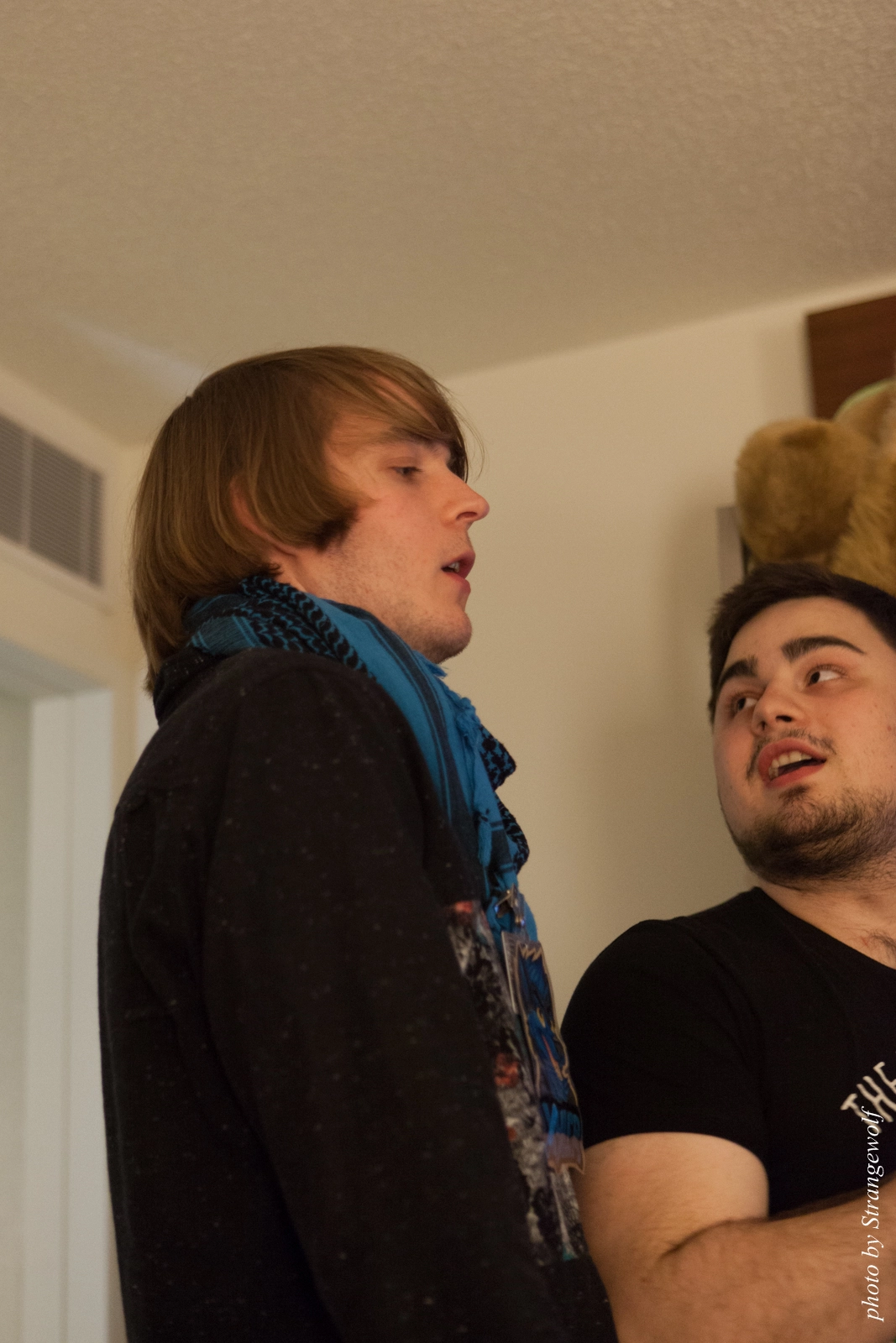 full image IMG_2975-lr16t.jpg