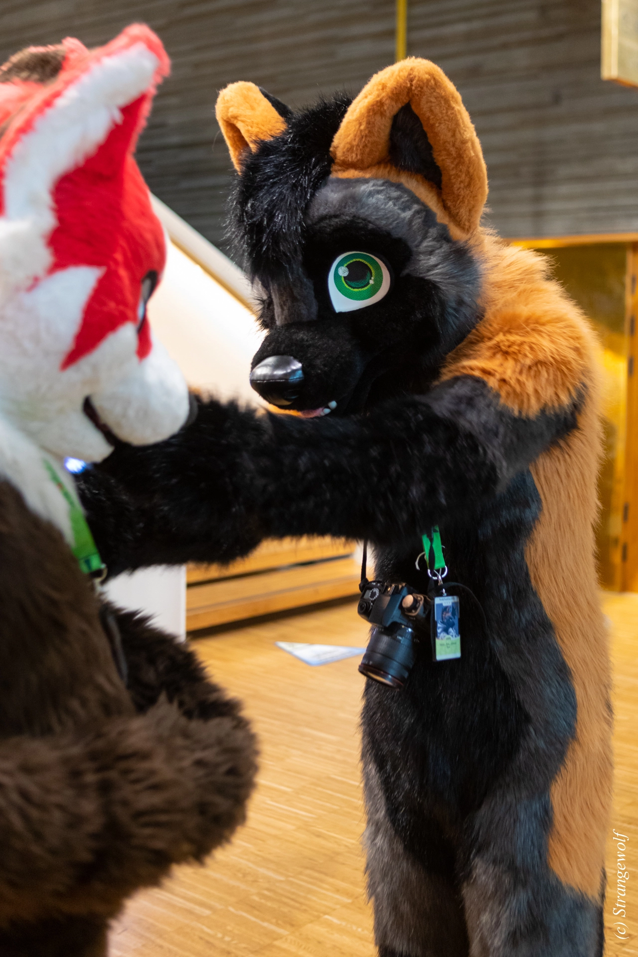 full image 1R3A9439-lr19t.jpg