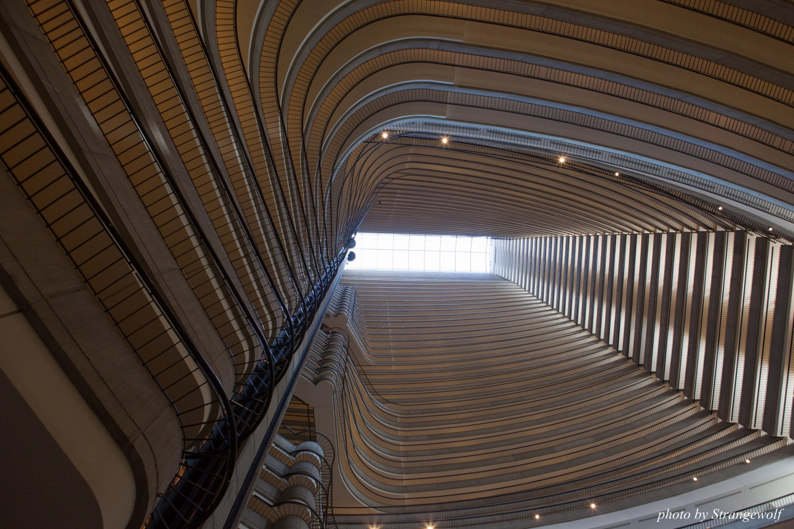 full image IMG_6119-lr16t.jpg