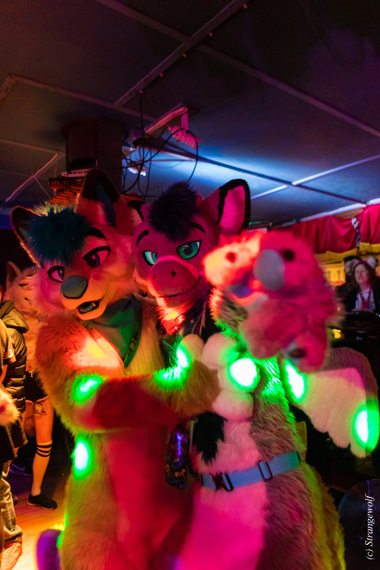 full image 1R3A9112-lr19t.jpg