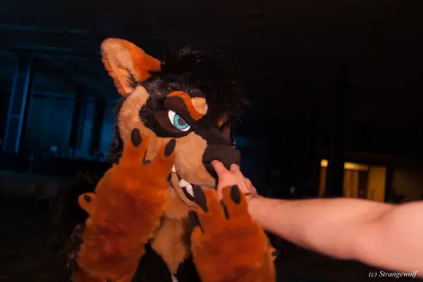 IMG_3658-lr19t.jpg of BLFC/2019/