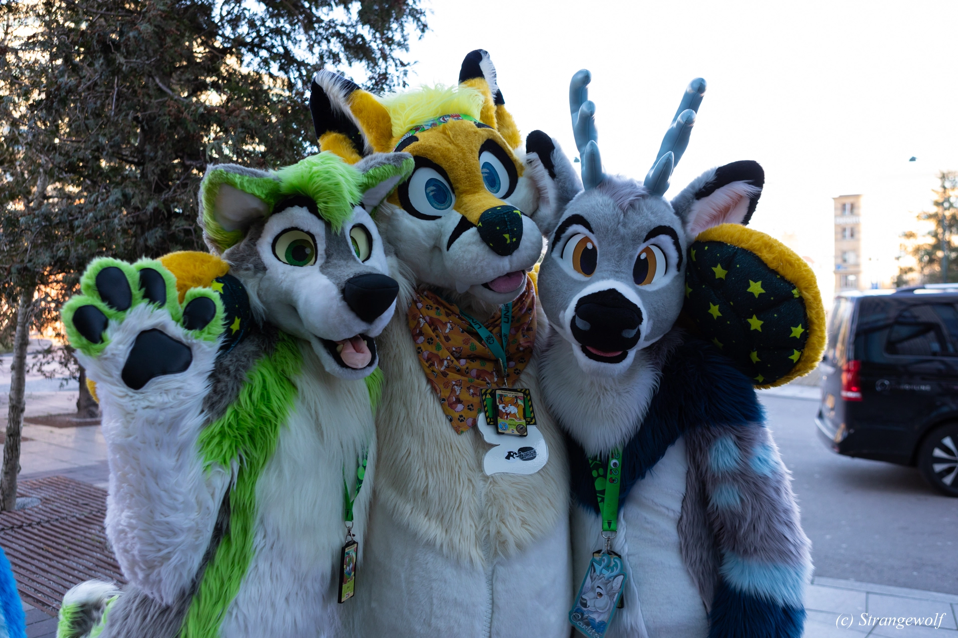 full image 1R3A9839-lr19t.jpg