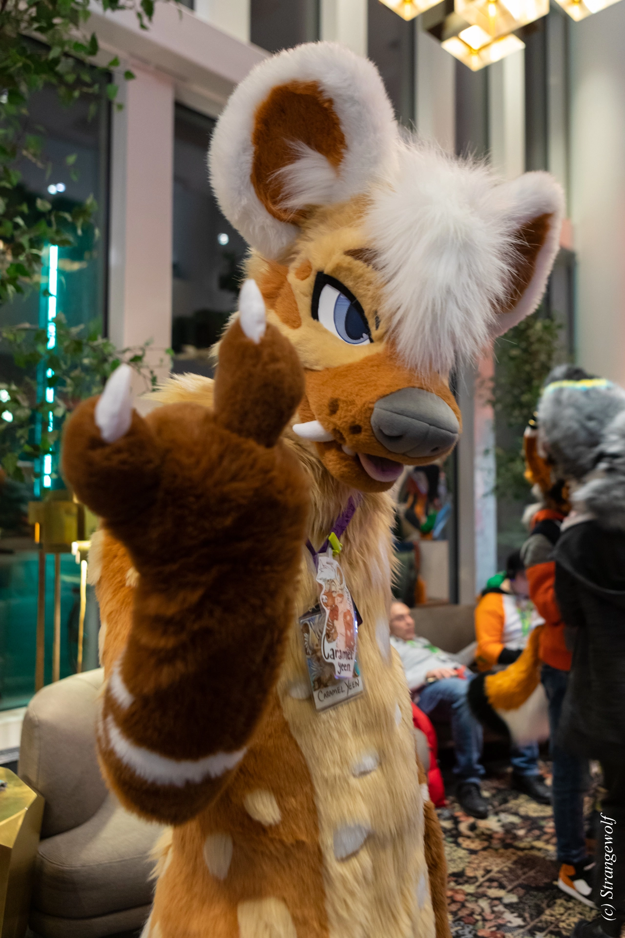 full image 1R3A0091-lr19t.jpg