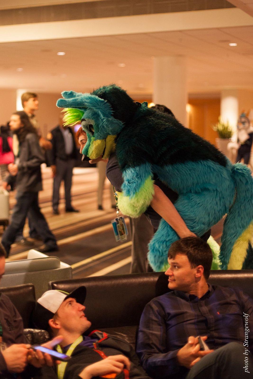 full image IMG_2825-lr16t.jpg