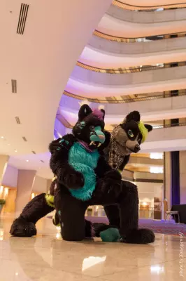 IMG_7614-lr16t.jpg of FWA/FWA2015/
