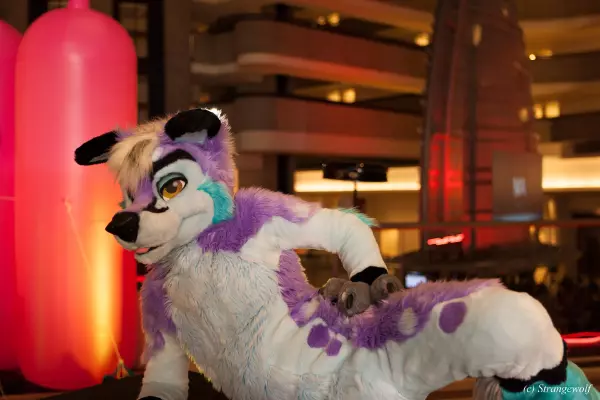 IMG_2206-lr19t.jpg of FWA/FWA2019/