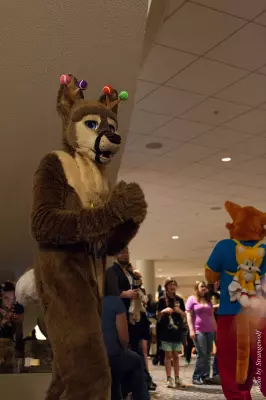 IMG_7472-lr16t.jpg of FWA/FWA2015/