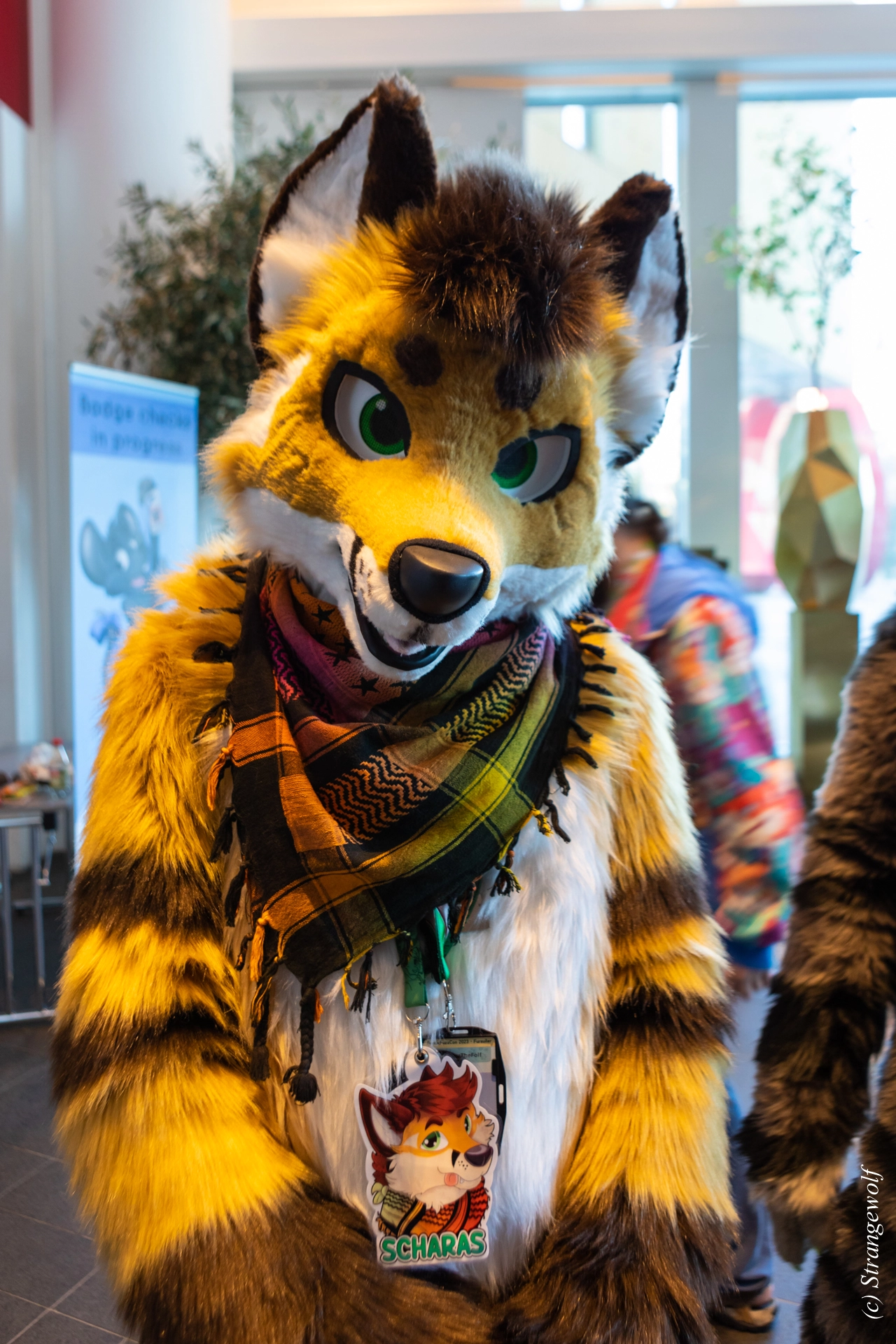 full image 1R3A9845-lr19t.jpg