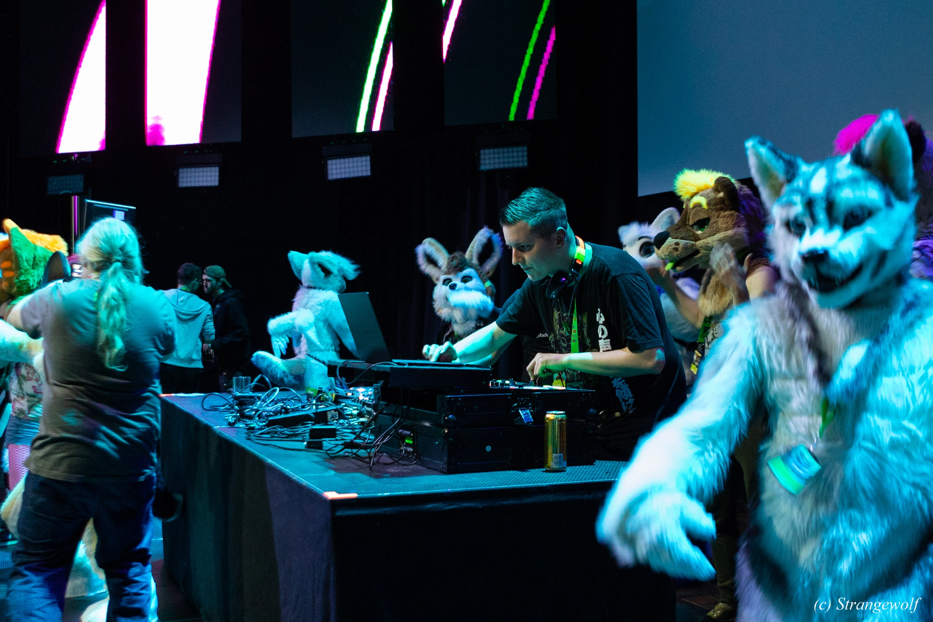 full image 1R3A9669-lr19t.jpg