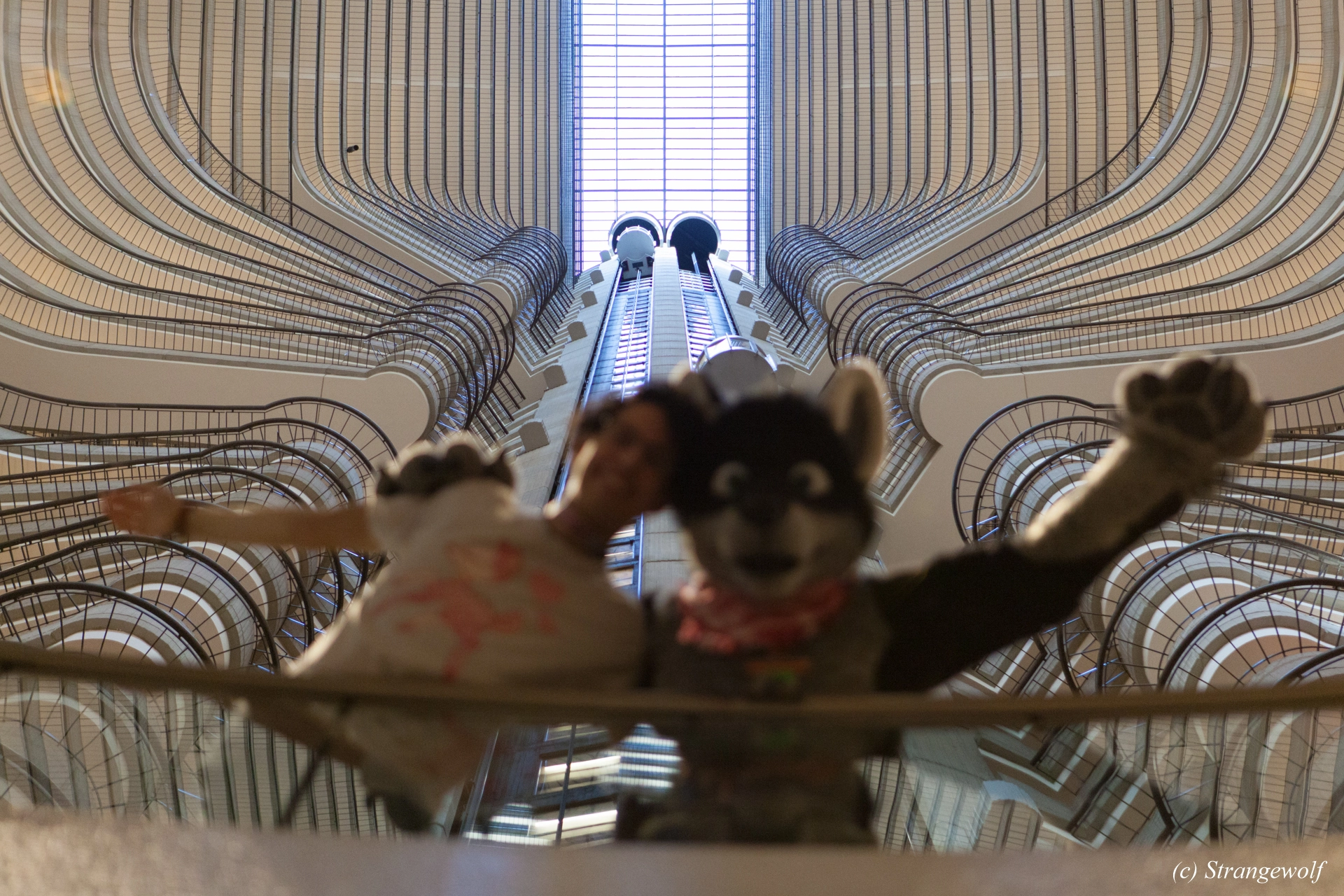 full image IMG_1790-lr19t.jpg