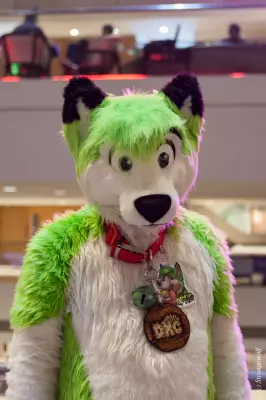 IMG_1998-lr19t.jpg of FWA/FWA2019/
