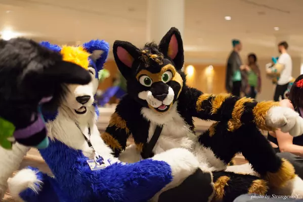IMG_6028-lr16t.jpg of FWA/FWA2016/