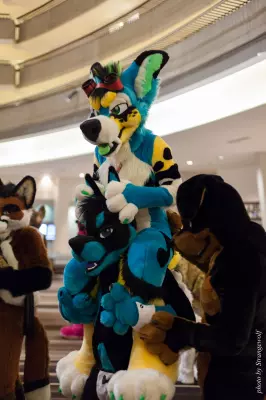 IMG_3055-lr16t.jpg of FWA/FWA2017/