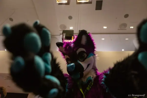 1R3A8990-lr19t.jpg of NFC/NFC2023/