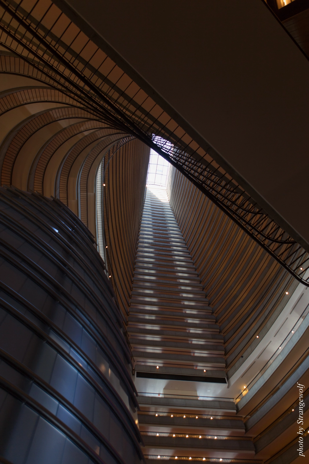 full image IMG_7350-lr16t.jpg