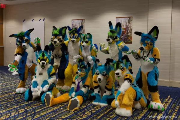 IMG_7809-lr16t.jpg of FWA/FWA2015/