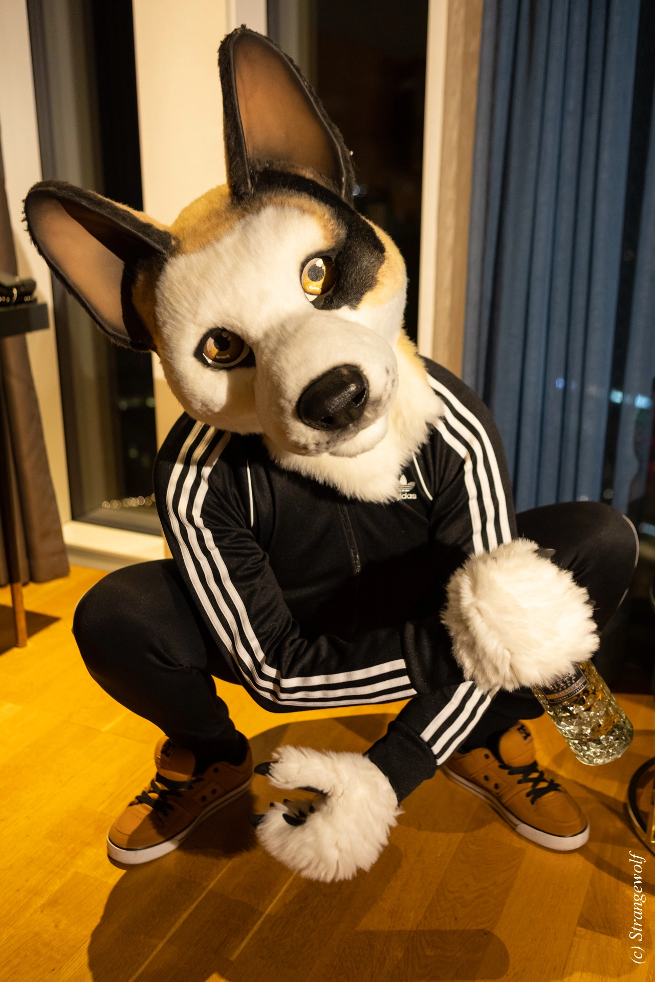 full image 1R3A9318-lr19t.jpg