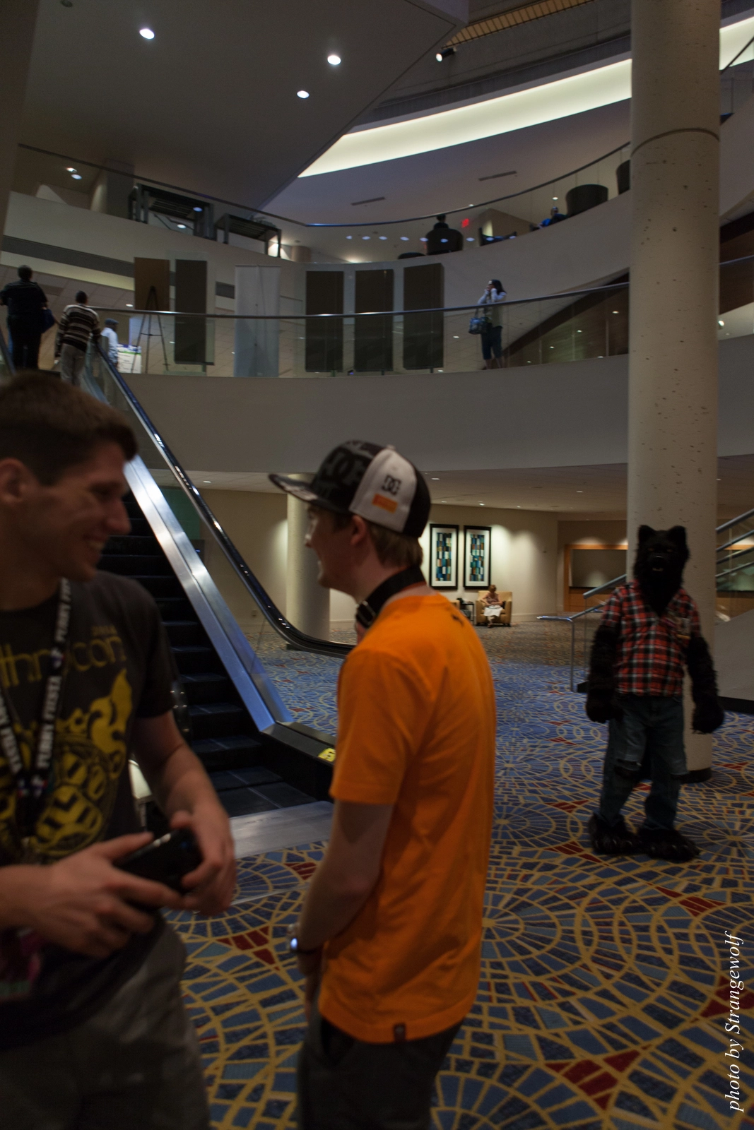 full image IMG_7356-lr16t.jpg