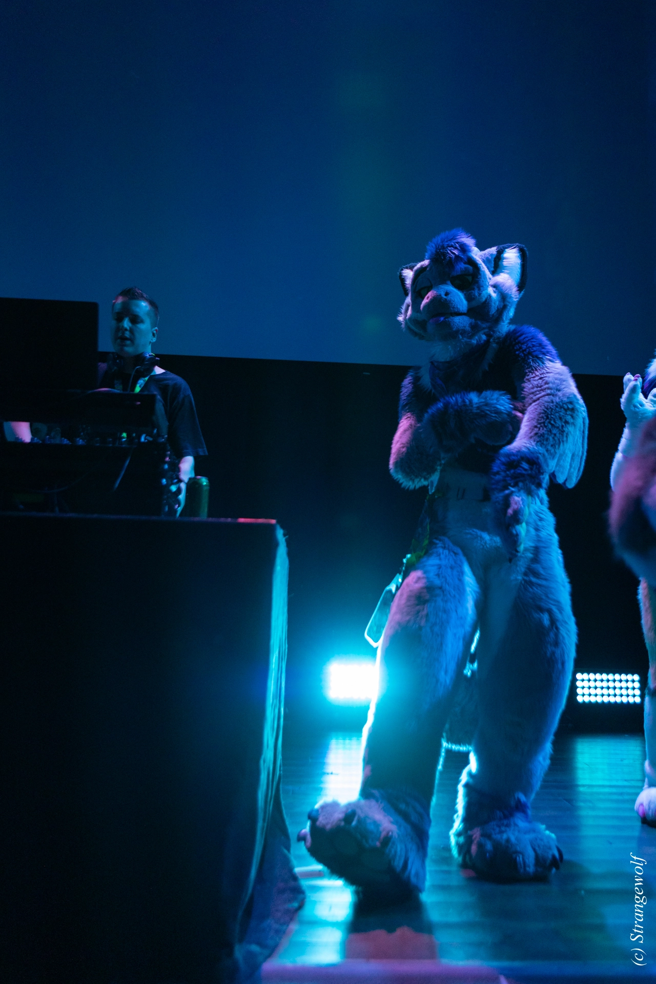 full image 1R3A9485-lr19t.jpg