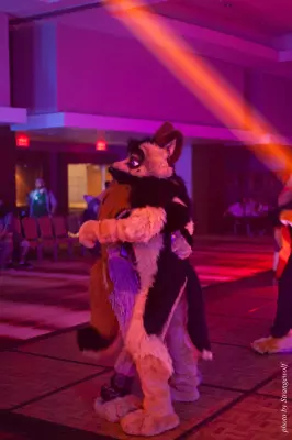 IMG_5924-lr16t.jpg of FWA/FWA2016/