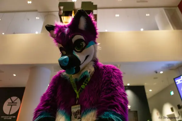 1R3A8992-lr19t.jpg of NFC/NFC2023/