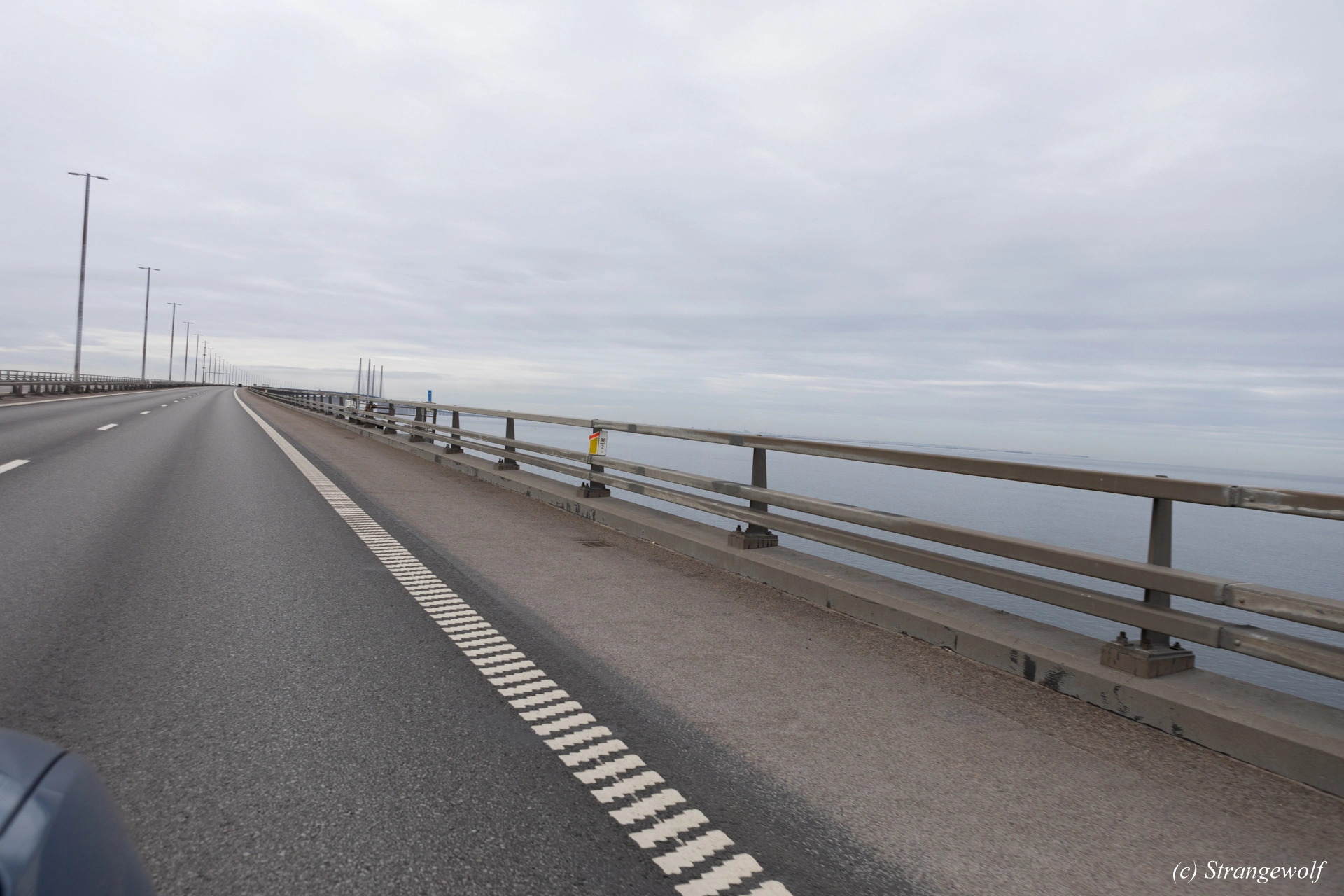 full image 1R3A0168-lr19t.jpg