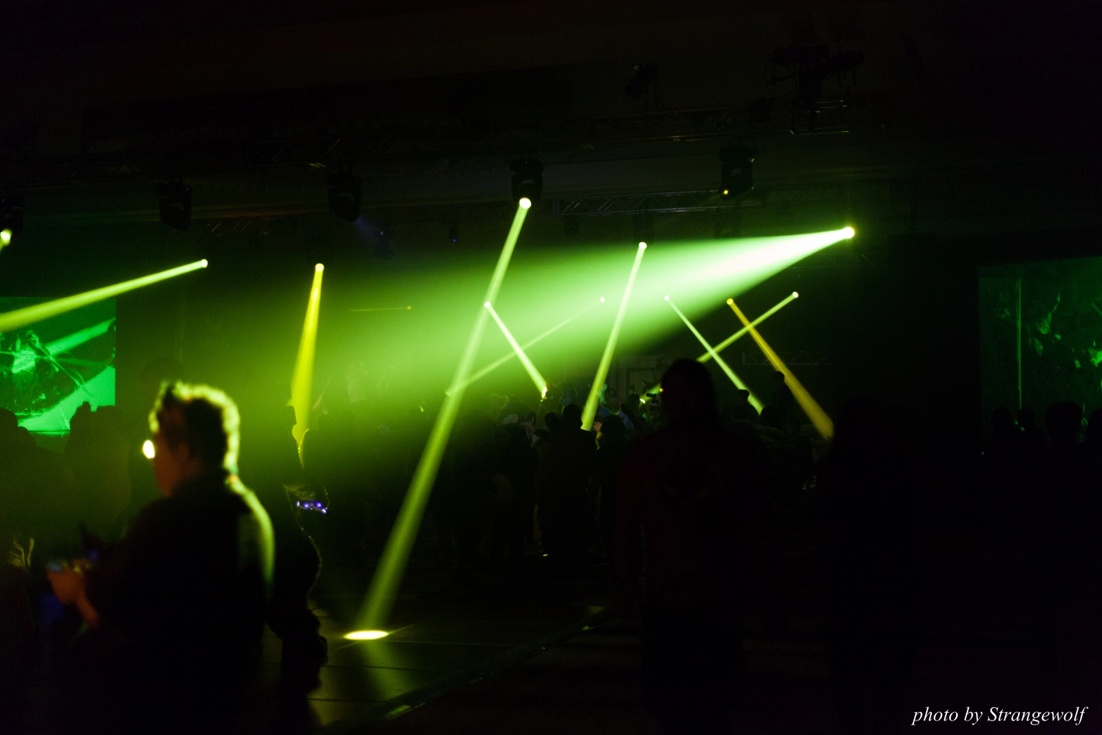 full image IMG_5939-lr16t.jpg