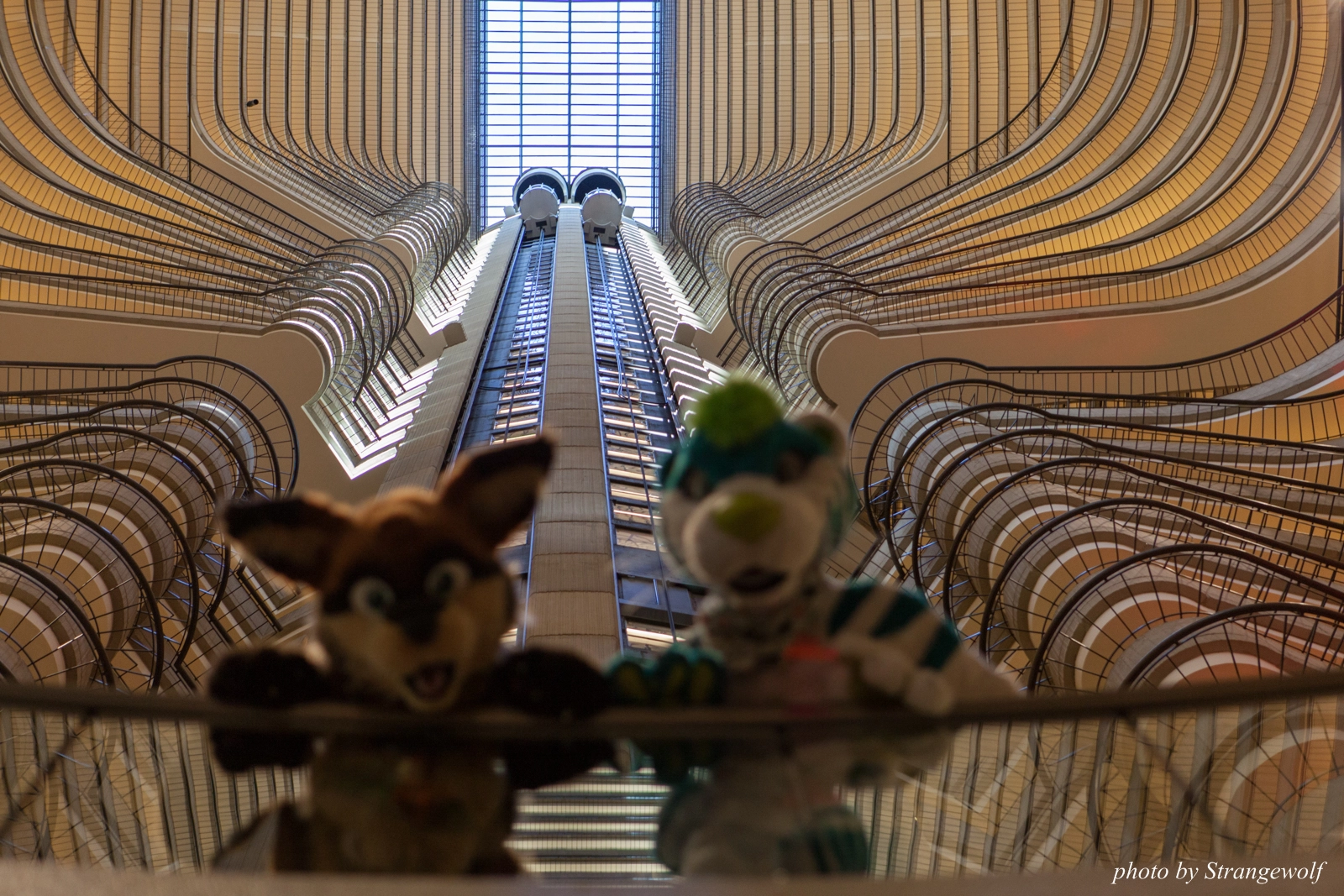full image IMG_2907-lr16t.jpg