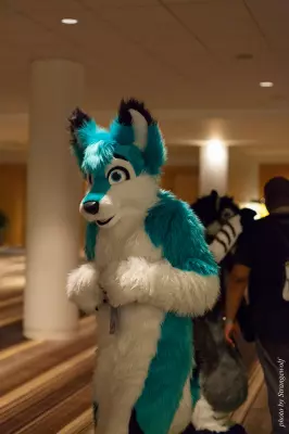 IMG_5760-lr16t.jpg of FWA/FWA2016/