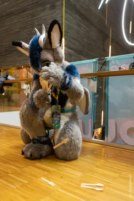 1R3A9416-lr19t.jpg of NFC/NFC2023/