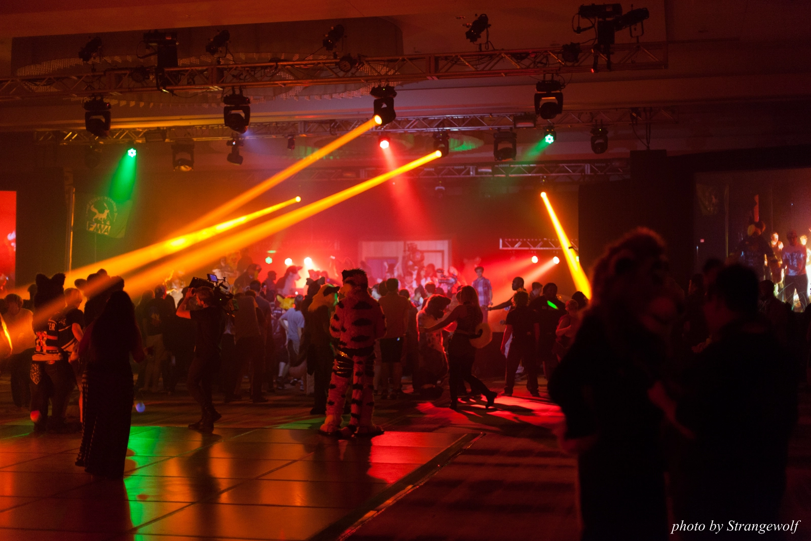 full image IMG_5977-lr16t.jpg
