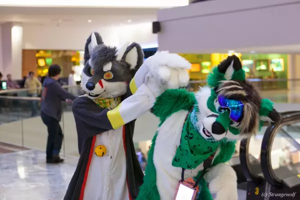IMG_1267-lr19t.jpg of FWA/FWA2017/