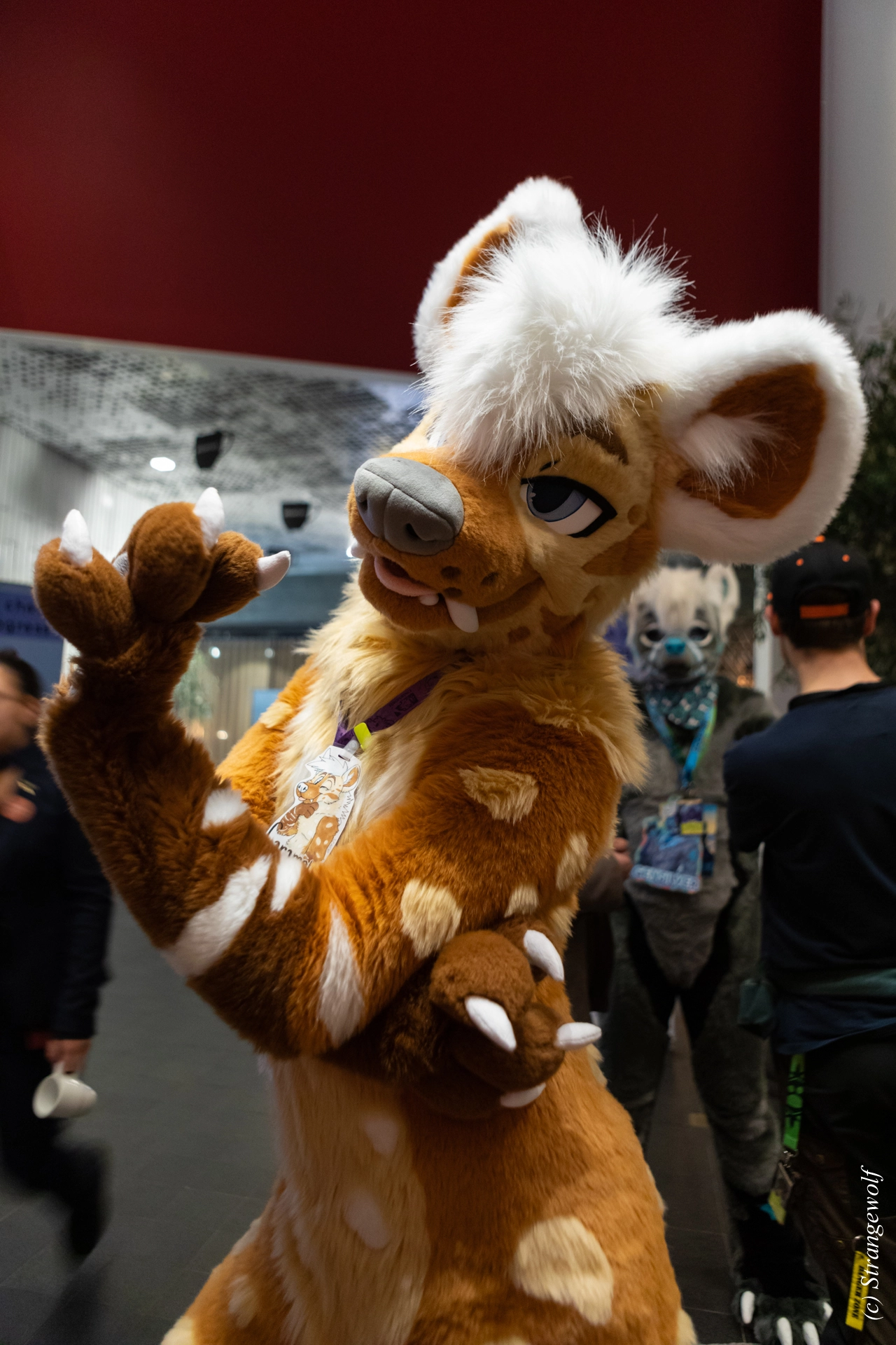 full image 1R3A0062-lr19t.jpg