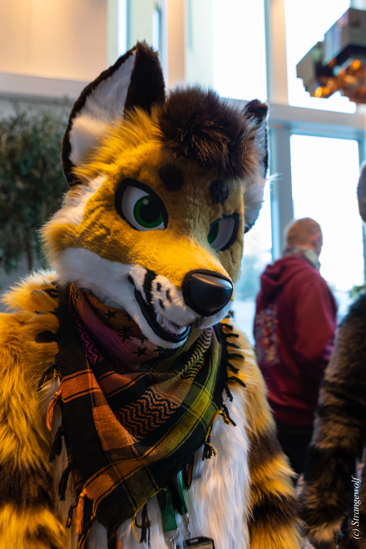 full image 1R3A9847-lr19t.jpg