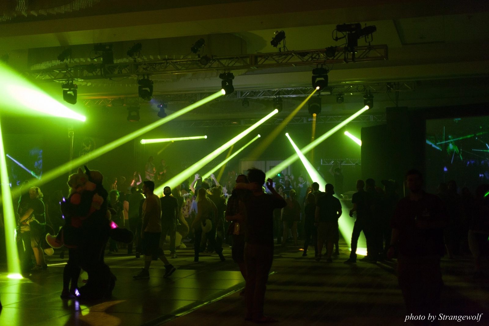 full image IMG_5935-lr16t.jpg