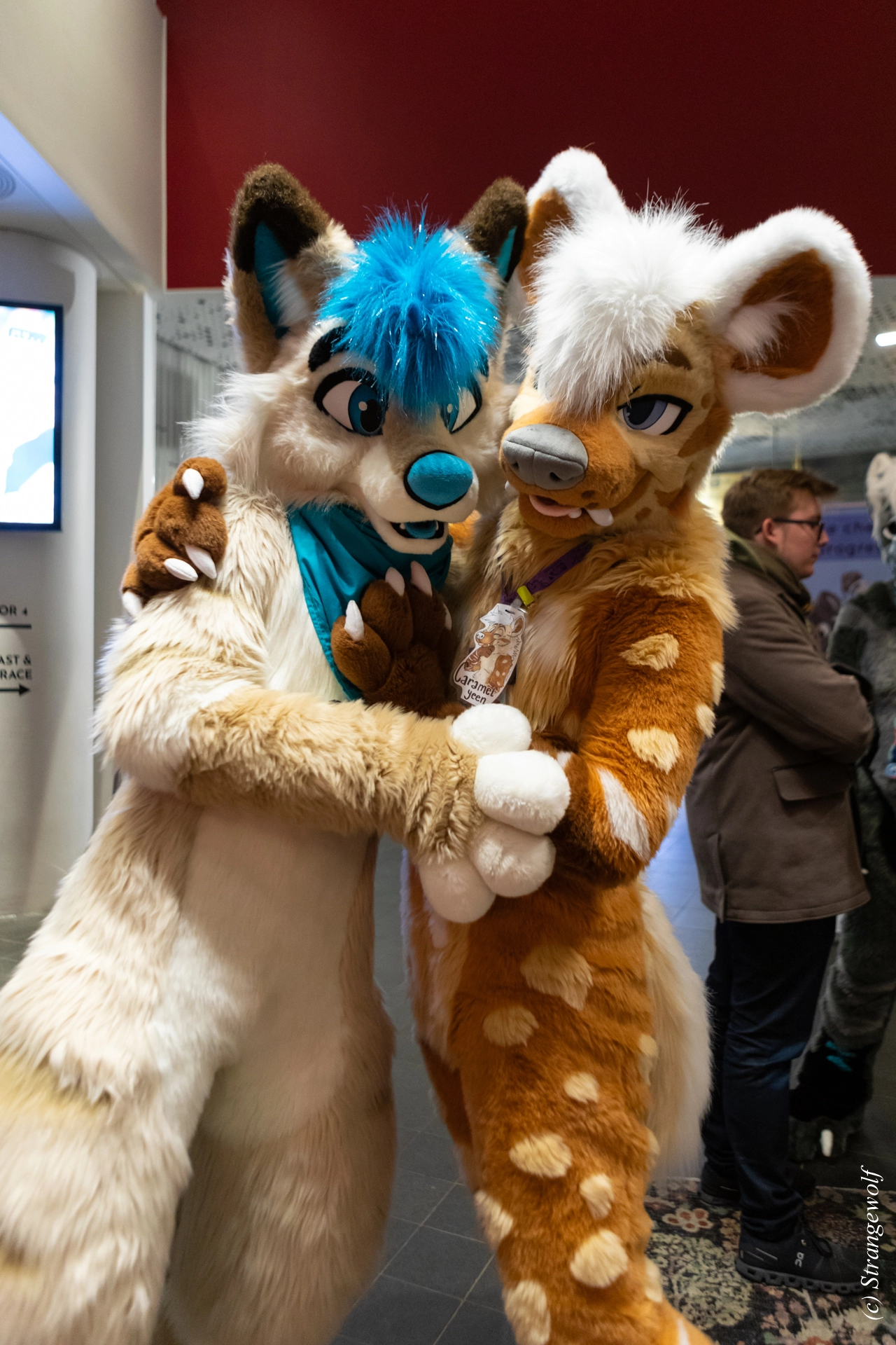 full image 1R3A0073-lr19t.jpg