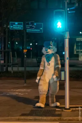 1R3A9260-lr19t.jpg of NFC/NFC2023/