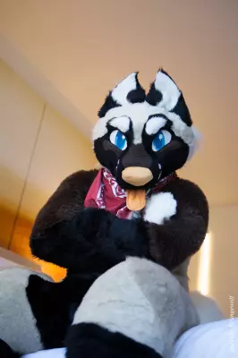 IMG_6085-lr.jpg of FWA/FWA2016/Photoshoot-Yuki/