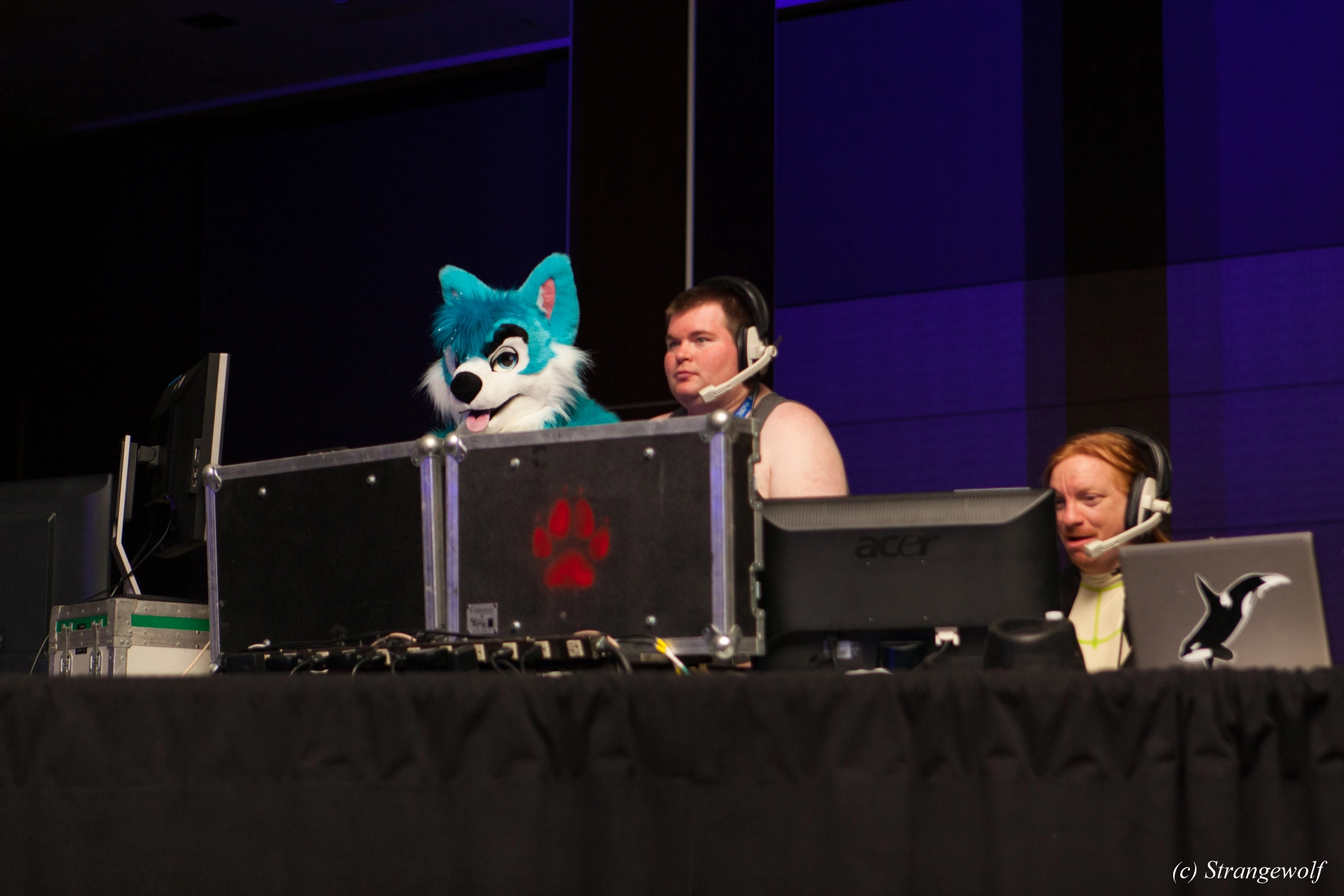 full image IMG_3492-lr19t.jpg