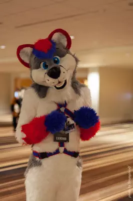 IMG_5712-lr16t.jpg of FWA/FWA2016/