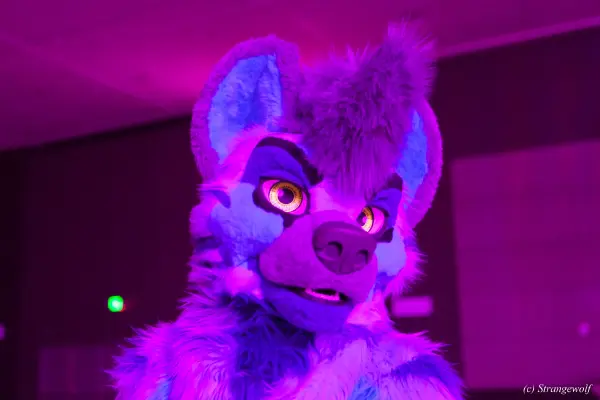 IMG_3294-lr19t.jpg of BLFC/2019/